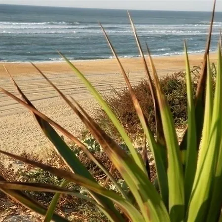 Apartment 50m Plage & Centre, Parking Prive, Calme Et Confort, 4 Pers. - Fr-1-239-408