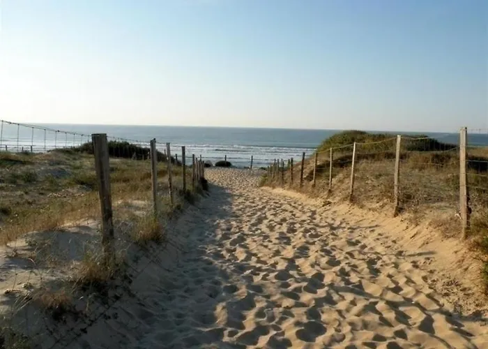 Appartamento Seignosse, 3 Pièces, 4 Personnes - Fr-1-239-408 Seignosse